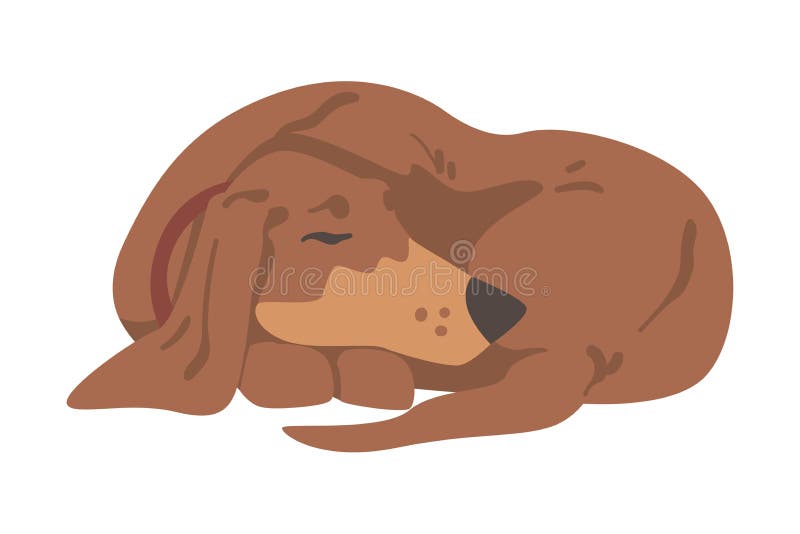 σκύλος dachshund ή badger ως λαγωνικό και μακρόκαρπο κυνηγόσκυλο με κολάρο που αγκαλιάζει την απεικόνιση διανύσματος ελεύθερη απεικόνιση δικαιώματος