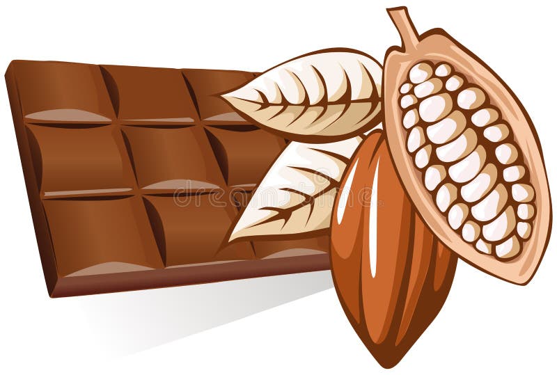 Chocolate with cocoa bean illustration isolated on white background. Chocolate with cocoa bean illustration isolated on white background