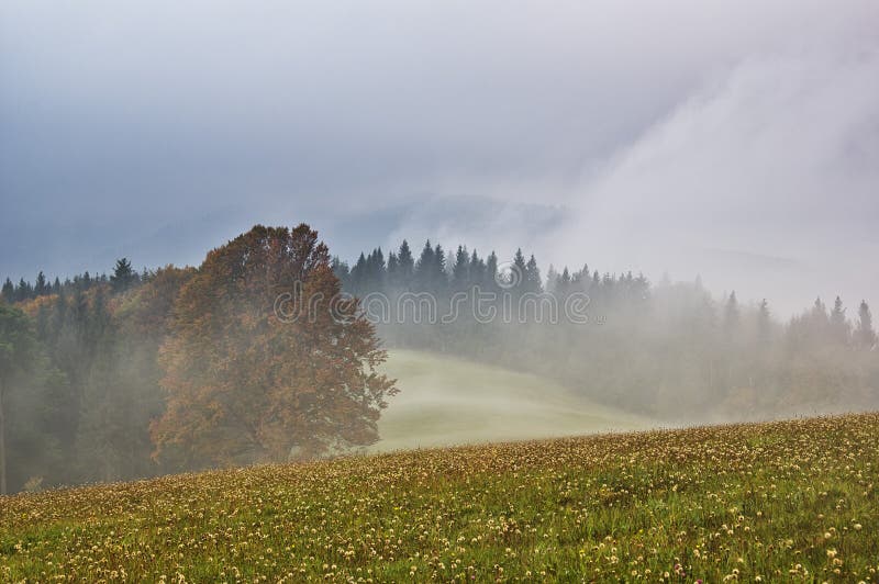 Solitaire with mist on Zakluky mountain during autumn at Polana protected landscape area, Europe, Slovakia. Solitaire with mist on Zakluky mountain during autumn at Polana protected landscape area, Europe, Slovakia.