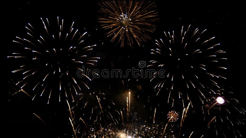 Σουτ 4. 000. επανάληψη χωρίς επαφή με πραγματικά λαμπερά πυροτεχνήματα για φόντο εορτασμού. μεγάλο χρυσό πυροτέχνημα με λάμψη για τ φιλμ μικρού μήκους