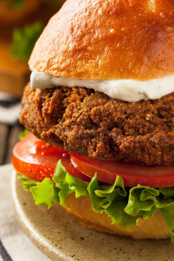 Σπιτικό μεσογειακό Burger Falafel στοκ εικόνα με δικαίωμα ελεύθερης χρήσης