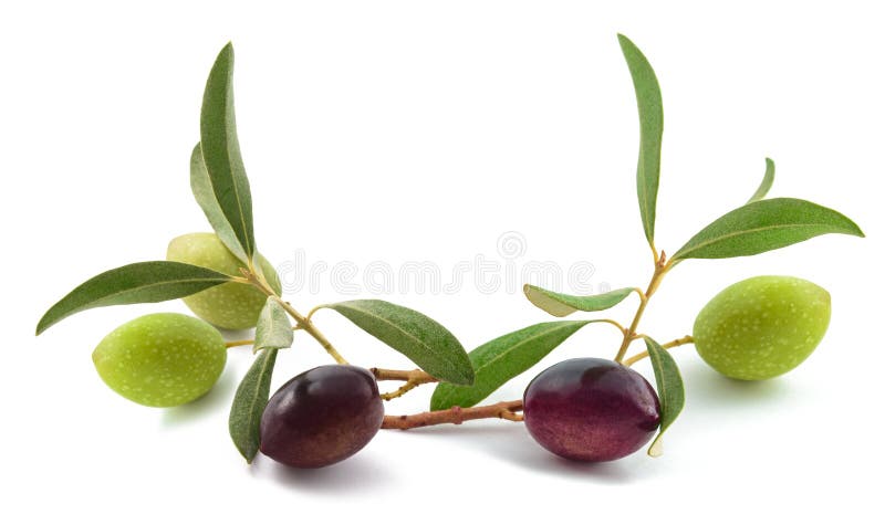 σπρέι με νωπή ελιά στοκ εικόνες