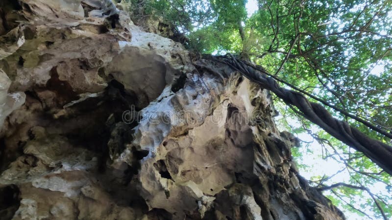 σταλακτίτες και μεγάλες πέτρες κρέμονται κάτω από τον βράχο του ασβεστόλιθου στην πλατεία νανγκ κράμπι. κλείσιμο βίντεο μετατόπιση απόθεμα βίντεο