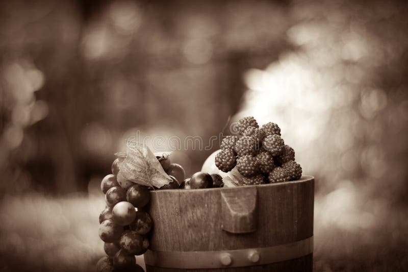 Grape on barrel of wine garden background. Grape on barrel of wine garden background