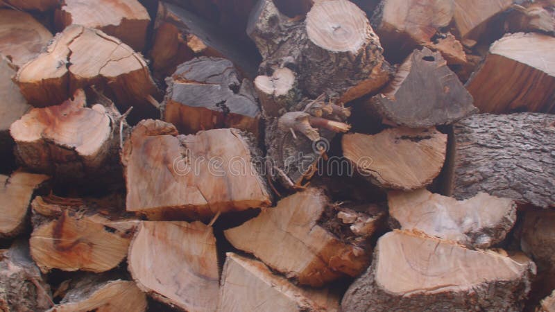 στεγνωτήρια ξύλου. ξύλινο υλικό που συλλέγεται και χρησιμοποιείται για καύσιμο