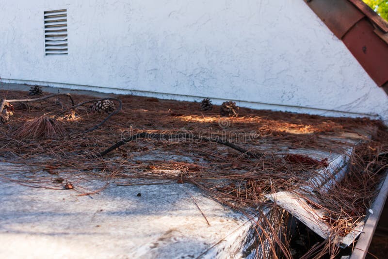 Roof gutter clogged with leaves, pine needles and debris. Damaged plastic mesh gutter guard and leaf screen. Rain gutter inspection, cleaning and maintenance is required to prevent clogged gutters. Roof gutter clogged with leaves, pine needles and debris. Damaged plastic mesh gutter guard and leaf screen. Rain gutter inspection, cleaning and maintenance is required to prevent clogged gutters