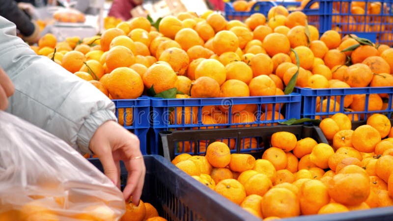 Στενά tangerines μετατοπίσεων χεριών κοριτσιών από ένα κιβώτιο σε άλλο