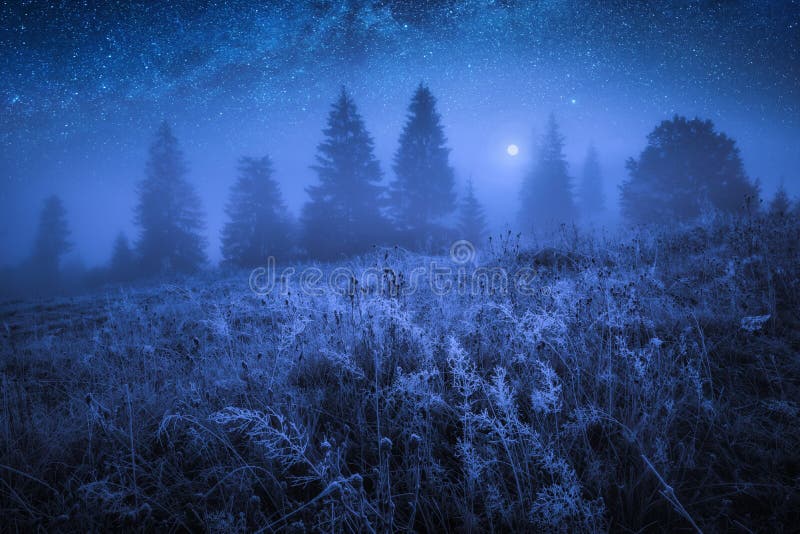Στις αρχές παγωμένου πρωινού με το hoarfrost σε μια χλόη στοκ φωτογραφία με δικαίωμα ελεύθερης χρήσης Στις αρχές παγωμένου πρωινού με το hoarfrost σε μια χλόη στοκ φωτογραφία με δικαίωμα ελεύθερης χρήσης