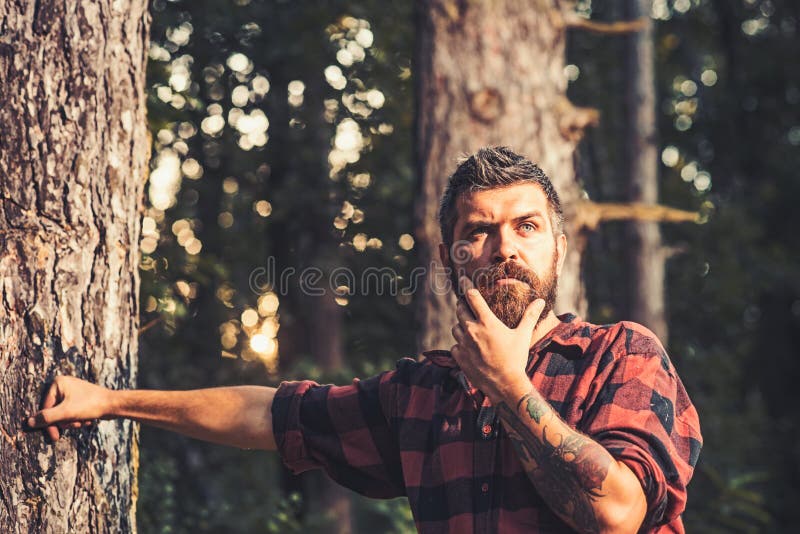 Στοχαστικό άτομο που στέκεται δίπλα στο δέντρο Περίεργος υλοτόμος που κρατά το πηγούνι του Hipster που περιπλανιέται στη φύση στοκ φωτογραφία Στοχαστικό άτομο που στέκεται δίπλα στο δέντρο Περίεργος υλοτόμος που κρατά το πηγούνι του Hipster που περιπλανιέται στη φύση στοκ φωτογραφία