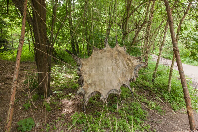 Κατασκήνωση της λίθινης εποχής στοκ εικόνα με δικαίωμα ελεύθερης χρήσης