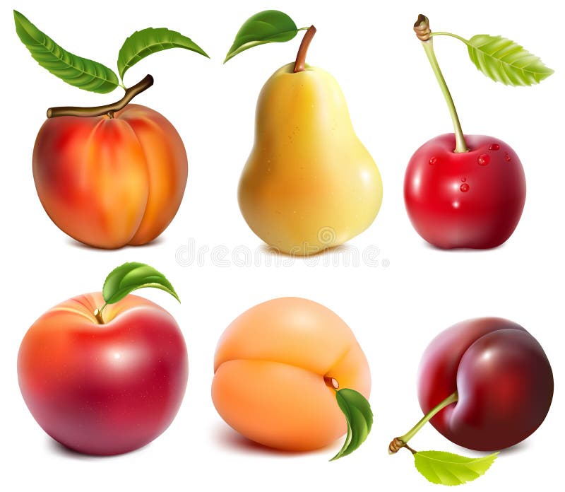 Collection of photo-realistic vector fruits. Collection of photo-realistic vector fruits.