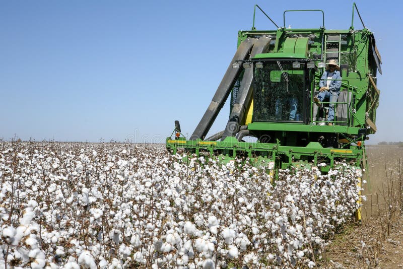 Mato Grosso do Sul state, Brazil - Circa July, 2008 -  Cotton harvest with a harvester machine on a clear day on countryside of Brazil, Editorial. Mato Grosso do Sul state, Brazil - Circa July, 2008 -  Cotton harvest with a harvester machine on a clear day on countryside of Brazil, Editorial