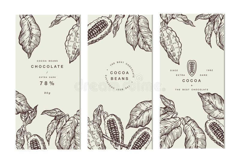 Cocoa bean tree banner collection or packaging design. Design templates. Engraved style illustration. Chocolate cocoa beans. Vector illustration. Cocoa bean tree banner collection or packaging design. Design templates. Engraved style illustration. Chocolate cocoa beans. Vector illustration