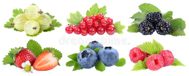 Συλλογή του frui φρούτων μούρων βακκινίων φραουλών μούρων στοκ εικόνες με δικαίωμα ελεύθερης χρήσης