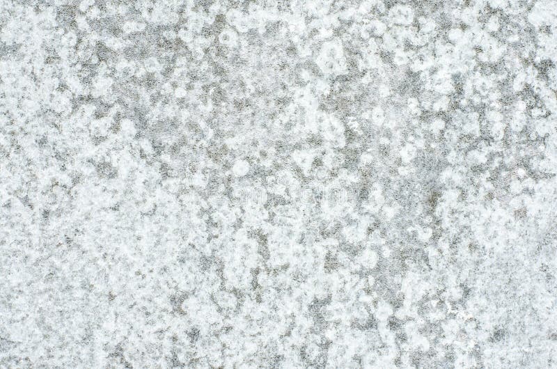Συμπαγής τοίχος βρώμικος με τη σύσταση moldy, τοίχων Grunge ή το υπόβαθρο στοκ εικόνα Συμπαγής τοίχος βρώμικος με τη σύσταση moldy, τοίχων Grunge ή το υπόβαθρο στοκ εικόνα
