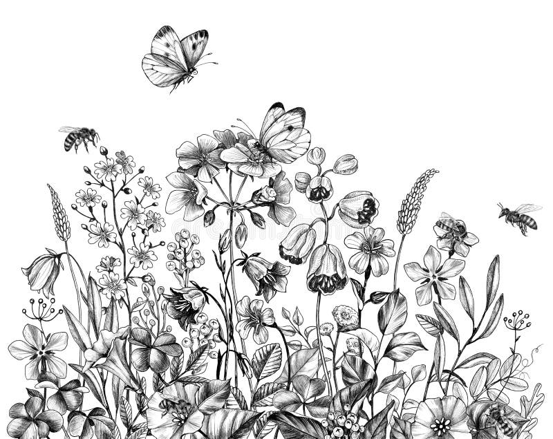 Συρμένες χέρι Wildflowers, μέλισσες και πεταλούδα ελεύθερη απεικόνιση δικαιώματος