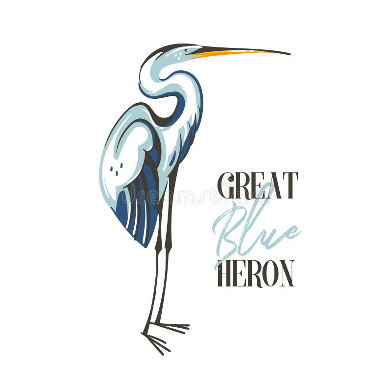 Hand drawn vector abstract cartoon summer time graphic decoration illustrations art with exotic tropical rainforest Great Blue Heron bird isolated on white background. Hand drawn vector abstract cartoon summer time graphic decoration illustrations art with exotic tropical rainforest Great Blue Heron bird isolated on white background.