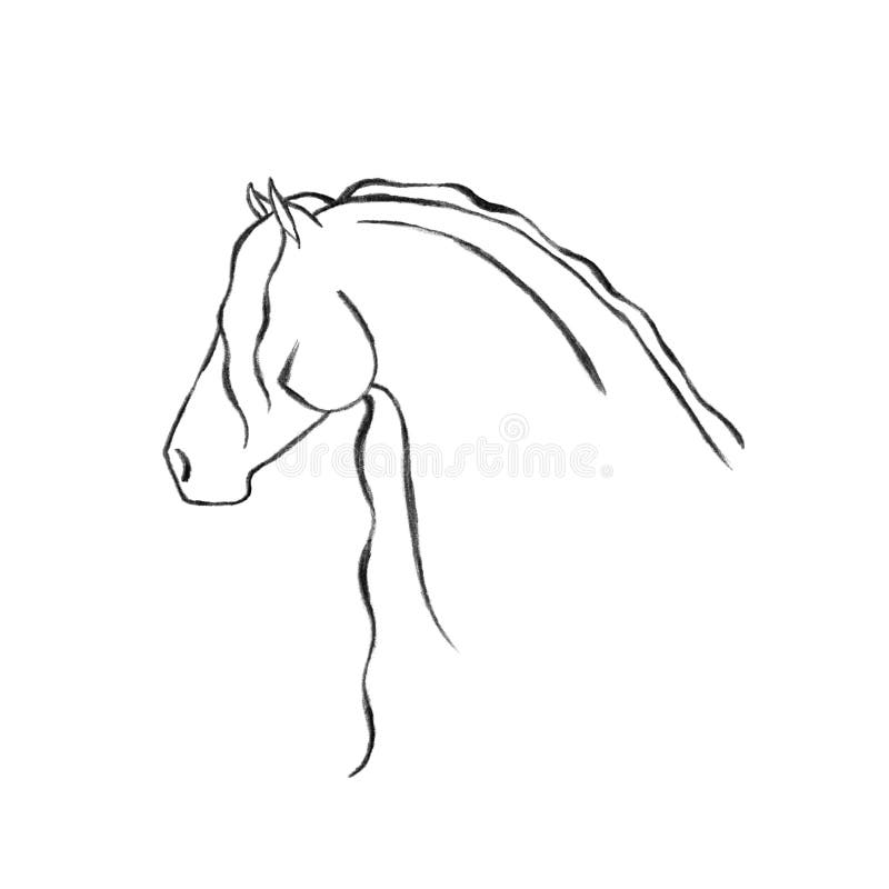 Stylized hand drawn Friesian horse. Stylized hand drawn Friesian horse.