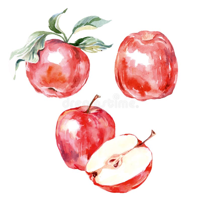 Συρμένο χέρι κόκκινο μήλο Watercolor Απομονωμένη απεικόνιση φρούτων τροφίμων eco φυσική στο άσπρο υπόβαθρο διάνυσμα ελεύθερη απεικόνιση δικαιώματος