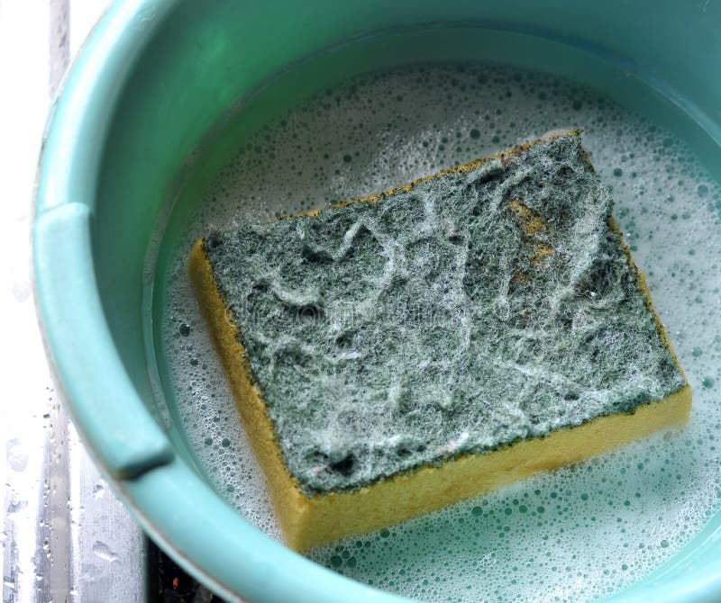 A kitchen sponge soaked with soap foam and water. A kitchen sponge soaked with soap foam and water