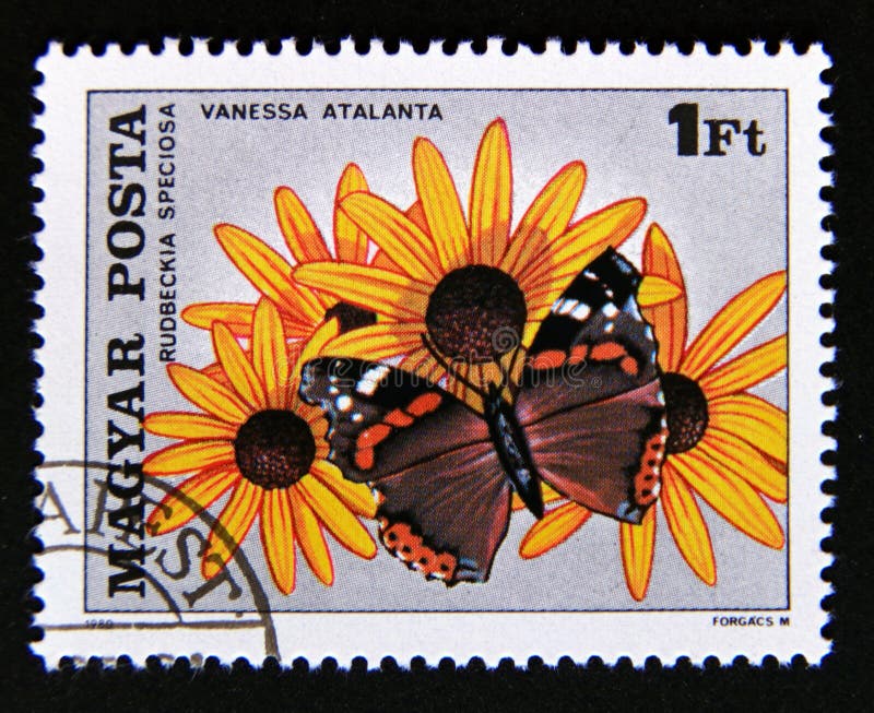 Post stamp printed in hungary, 1980. Red admiral vanessa atalanta butterfly, showy black eyed susan rudbeckia fulgida speciosa flower. From the series insects pollinating flowers. Post stamp printed in hungary, 1980. Red admiral vanessa atalanta butterfly, showy black eyed susan rudbeckia fulgida speciosa flower. From the series insects pollinating flowers.