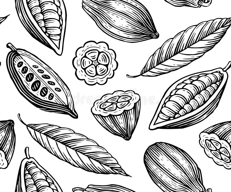 Engraved pattern of leaves and fruits of cocoa beans. Engraved pattern of leaves and fruits of cocoa beans