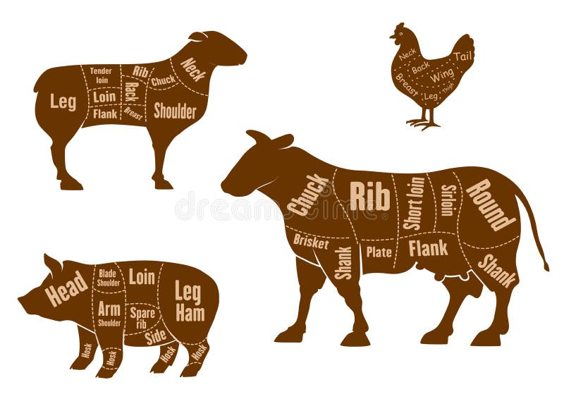 Chicken, pork, beef and lamb meat cuts scheme with marked parts and cutting lines, for butcher shop design. Chicken, pork, beef and lamb meat cuts scheme with marked parts and cutting lines, for butcher shop design