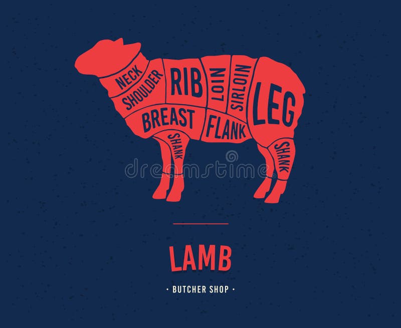 Diagrams for butcher shop. Animal silhouette lamb. Vector illustration. Diagrams for butcher shop. Animal silhouette lamb. Vector illustration.