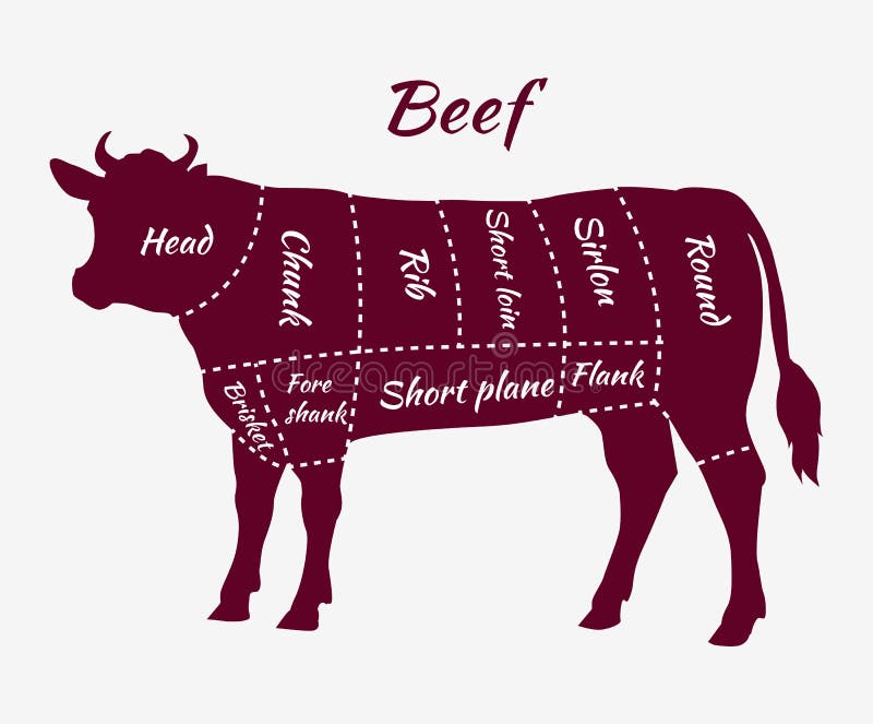 American cuts of beef. Scheme of beef cuts for steak and roast. Butcher cuts scheme. Beef cuts diagram in vintage style. Meat cutting beef. Menu template grilling steaks and cow. Vector illustration. American cuts of beef. Scheme of beef cuts for steak and roast. Butcher cuts scheme. Beef cuts diagram in vintage style. Meat cutting beef. Menu template grilling steaks and cow. Vector illustration