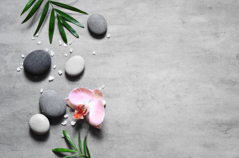 σχέδιο spa σχέδιο φόντο πέτρινο φύλλα φοίνικα λουλούδι ζεν γκρι πέτρες άνω όψη διάστημα. στοκ φωτογραφία με δικαίωμα ελεύθερης χρήσης