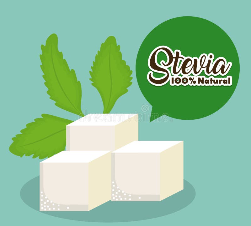 Σχέδιο έννοιας Stevia διανυσματική απεικόνιση