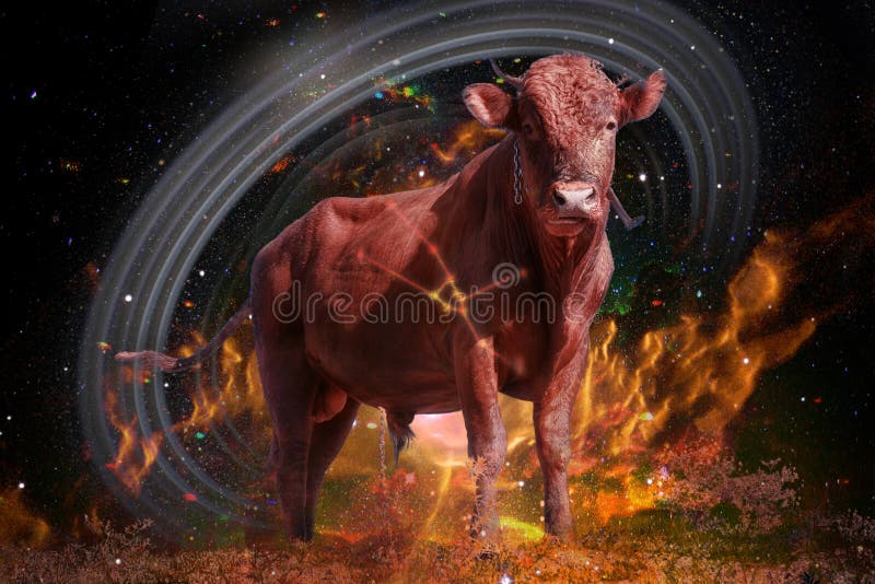 Symbol of bull to Taurus of zodiac and horoscope concept. star cluster in constellation the Bull. Elements of this image furnished by NASA. Symbol of bull to Taurus of zodiac and horoscope concept. star cluster in constellation the Bull. Elements of this image furnished by NASA