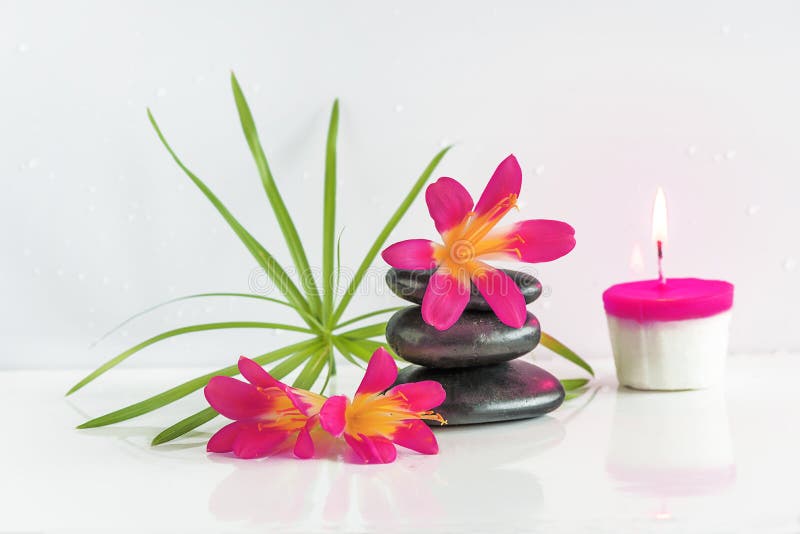 σύνθεση κύπελλων που επιπλέει gerber spa τις πετσέτες πετρών Πυραμίδα των μαύρων πετρών μασάζ, των πορτοκαλιών λουλουδιών και του στοκ φωτογραφία με δικαίωμα ελεύθερης χρήσης σύνθεση κύπελλων που επιπλέει gerber spa τις πετσέτες πετρών Πυραμίδα των μαύρων πετρών μασάζ, των πορτοκαλιών λουλουδιών και του στοκ φωτογραφία με δικαίωμα ελεύθερης χρήσης