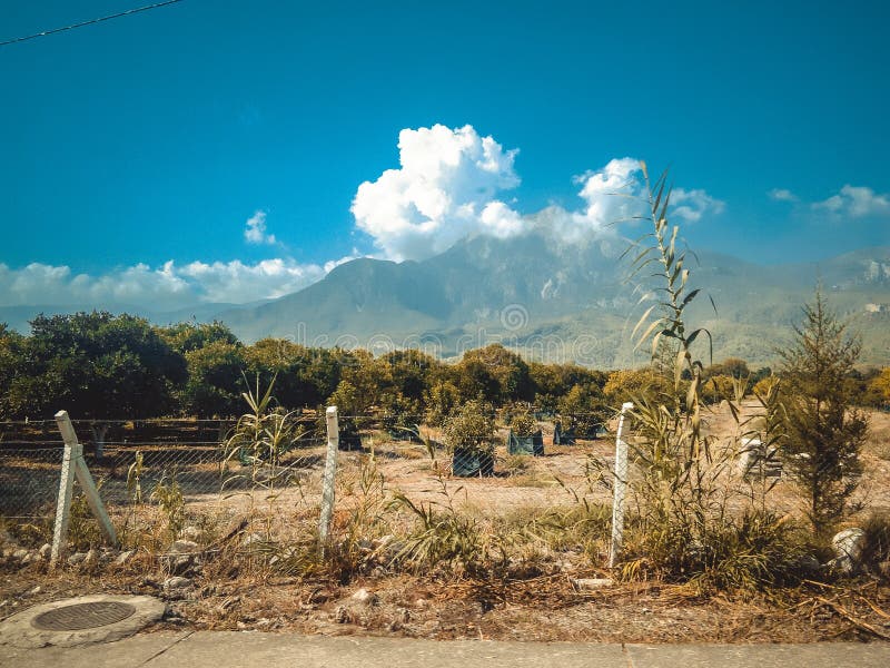σύννεφα δάση μπλε ουρανοί στοκ φωτογραφία με δικαίωμα ελεύθερης χρήσης