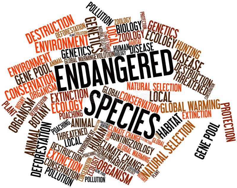 Abstract word cloud for Endangered Species with related tags and terms. Abstract word cloud for Endangered Species with related tags and terms