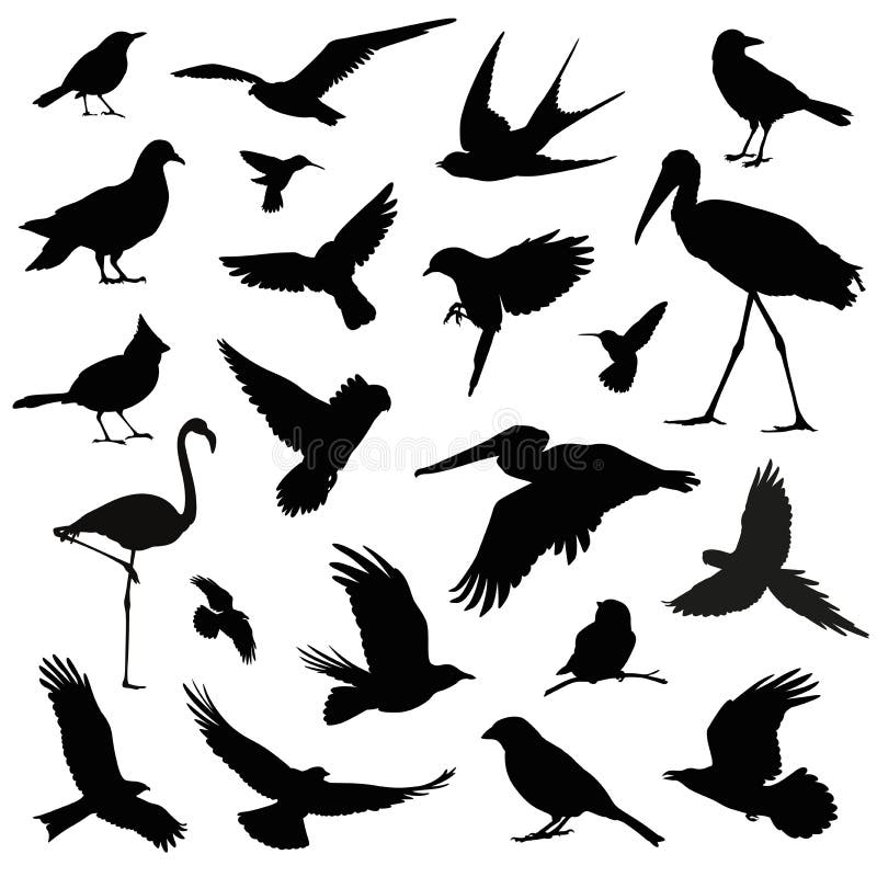 Σύνολο απεικόνισης σκιαγραφιών πουλιών