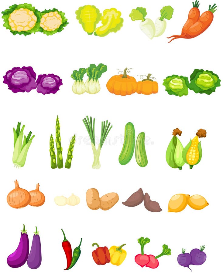 Illustration of isolated set of vegetables on white. Illustration of isolated set of vegetables on white