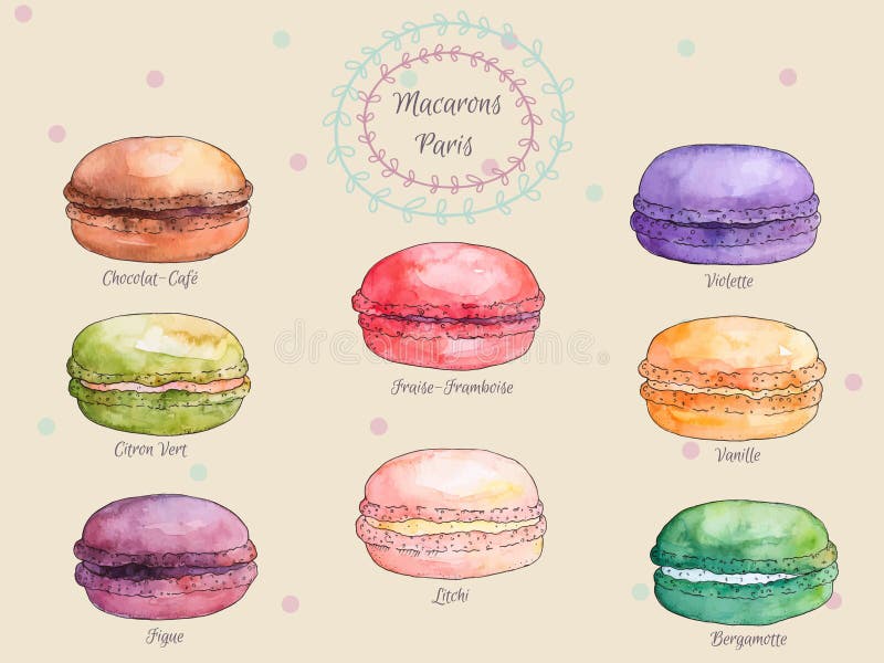 Σύνολο γαλλικά macaroons γούστου watercolor διαφορετικά, συλλογή των ζωηρόχρωμων γαλλικών macarons παραλλαγής διανυσματική απεικόνιση