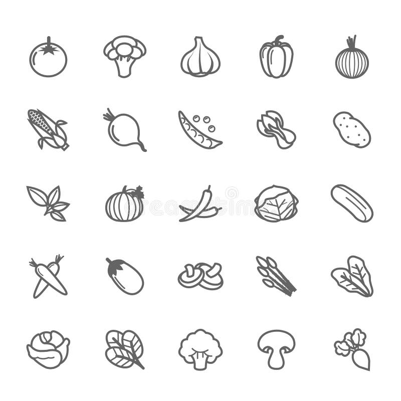 Set of Outline stroke Vegetable icon Vector illustration. Set of Outline stroke Vegetable icon Vector illustration