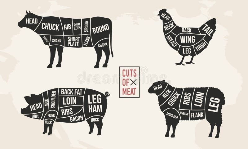 Set of Meat diagrams. Cuts of meat. Cow, Chicken, Pig and Sheep silhouette. Set of Meat diagrams. Cuts of meat. Cow, Chicken, Pig and Sheep silhouette.