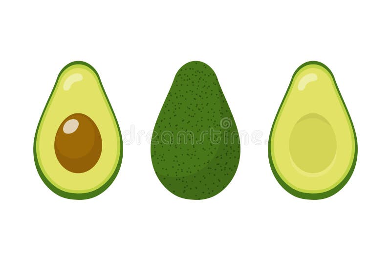 Set of fresh whole and half avocado isolated on white background. Organic food. Cartoon style. Vector illustration for design. Set of fresh whole and half avocado isolated on white background. Organic food. Cartoon style. Vector illustration for design