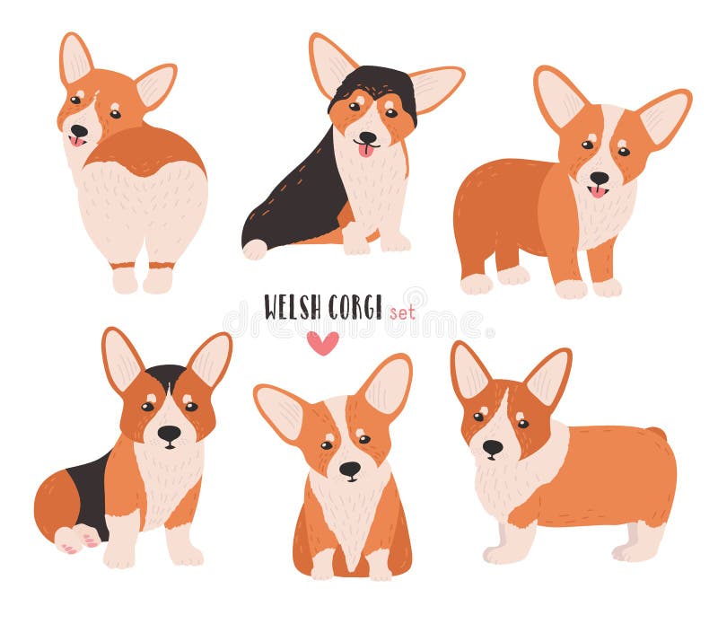Σύνολο ουαλλέζικου corgi στις διαφορετικές στάσεις Μικρό χαριτωμένο σκυλί της βοσκής της φυλής που απομονώνεται στο άσπρο υπόβαθρ ελεύθερη απεικόνιση δικαιώματος Σύνολο ουαλλέζικου corgi στις διαφορετικές στάσεις Μικρό χαριτωμένο σκυλί της βοσκής της φυλής που απομονώνεται στο άσπρο υπόβαθρ ελεύθερη απεικόνιση δικαιώματος