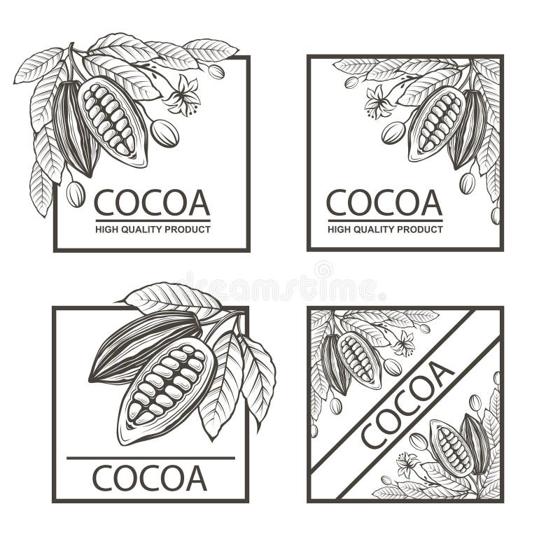 Collection of frames with cocoa beans, branch and leaves. Collection of frames with cocoa beans, branch and leaves