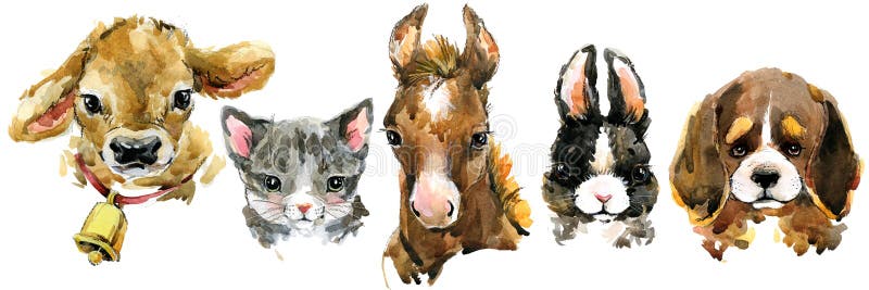 Cute baby animals watercolor set. Pets clipart. Cute baby animals watercolor set. Pets clipart