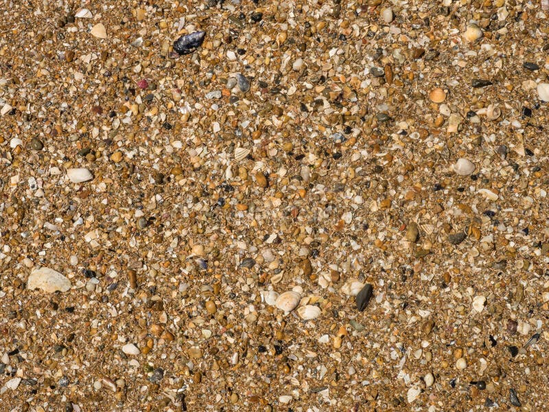 Σύσταση άμμου θαλασσινών κοχυλιών
