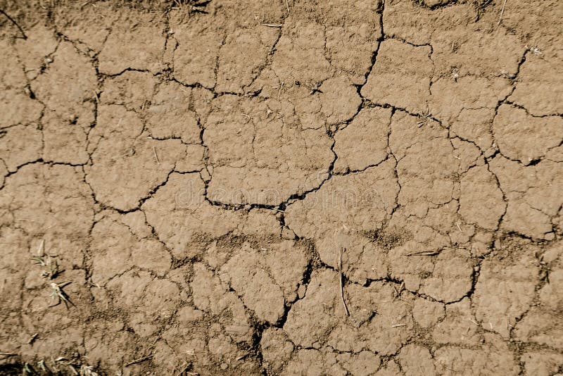 Σύσταση της ξηράς καφετιάς ραγισμένης γης Έλλειψη υγρασίας στο χώμα, ξηρασία Η έννοια του εδάφους αφυδάτωσης Φωτογραφία ως ταπετσ στοκ φωτογραφία με δικαίωμα ελεύθερης χρήσης Σύσταση της ξηράς καφετιάς ραγισμένης γης Έλλειψη υγρασίας στο χώμα, ξηρασία Η έννοια του εδάφους αφυδάτωσης Φωτογραφία ως ταπετσ στοκ φωτογραφία με δικαίωμα ελεύθερης χρήσης
