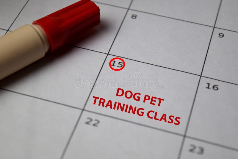 Dog Pet Training Class on monthly Calendar and marked 15th isolated on office desk. Dog Pet Training Class on monthly Calendar and marked 15th isolated on office desk