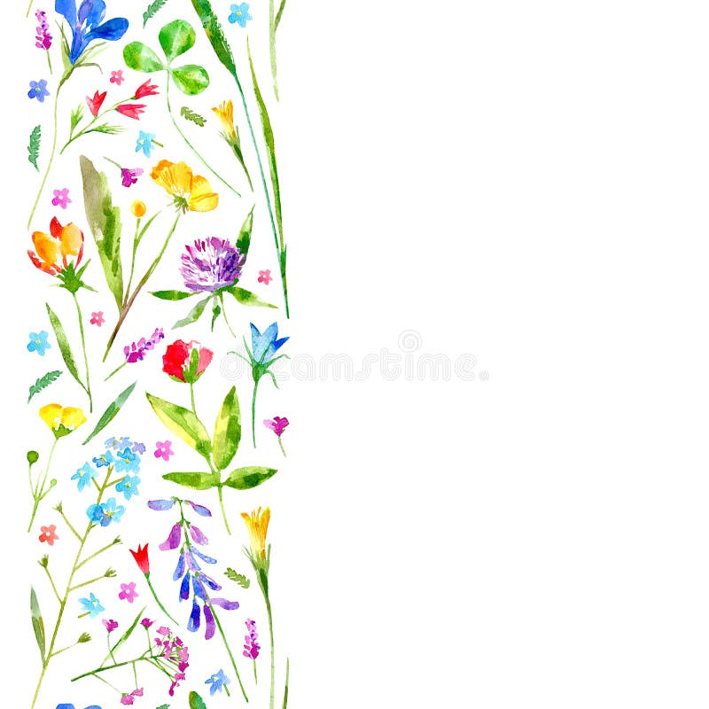 Τα Floral σύνορα άγρια περιοχών ανθίζουν και χορτάρια σε ένα άσπρο υπόβαθρο ελεύθερη απεικόνιση δικαιώματος Τα Floral σύνορα άγρια περιοχών ανθίζουν και χορτάρια σε ένα άσπρο υπόβαθρο ελεύθερη απεικόνιση δικαιώματος