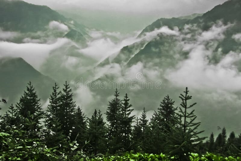 Τα δέντρα έφαγαν και τα misty βουνά κατωτέρω στοκ φωτογραφία Τα δέντρα έφαγαν και τα misty βουνά κατωτέρω στοκ φωτογραφία