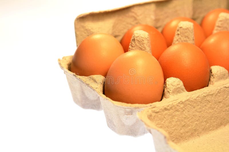 τα καφετιά αυγά χαρτοκιβ& στοκ φωτογραφία με δικαίωμα ελεύθερης χρήσης τα καφετιά αυγά χαρτοκιβ& στοκ φωτογραφία με δικαίωμα ελεύθερης χρήσης